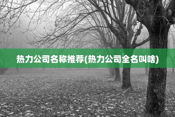 热力公司名称推荐(热力公司全名叫啥)
