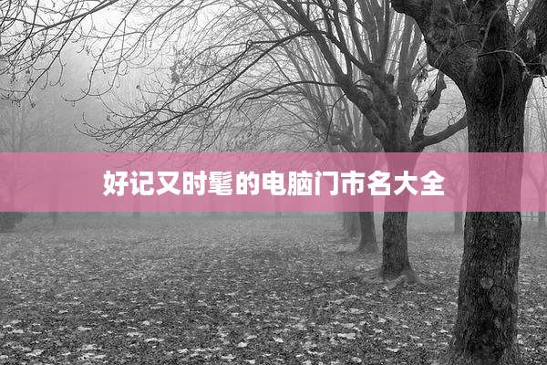 好记又时髦的电脑门市名大全
