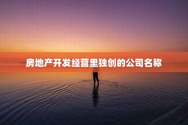 房地产开发经营里独创的公司名称