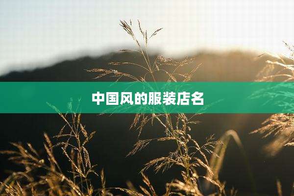 中国风的服装店名