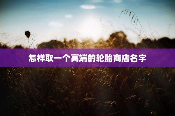 怎样取一个高端的轮胎商店名字