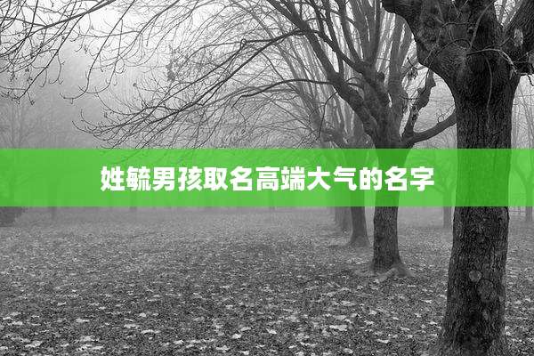 姓毓男孩取名高端大气的名字