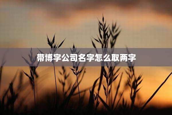 带博字公司名字怎么取两字