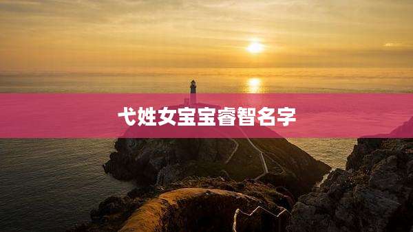 弋姓女宝宝睿智名字