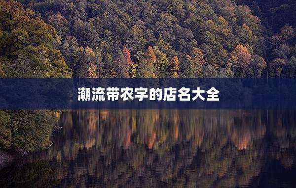 潮流带农字的店名大全