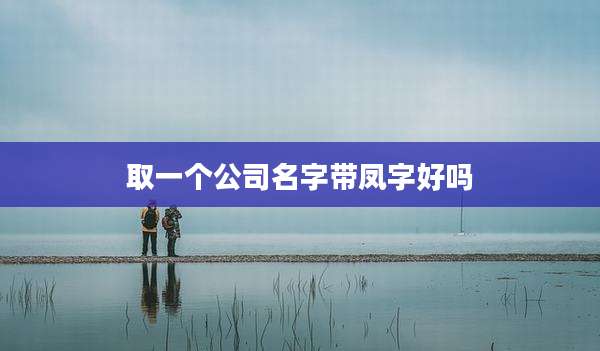 取一个公司名字带凤字好吗