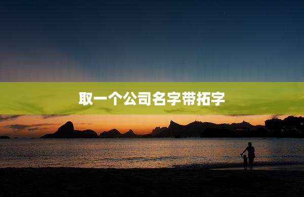 取一个公司名字带拓字