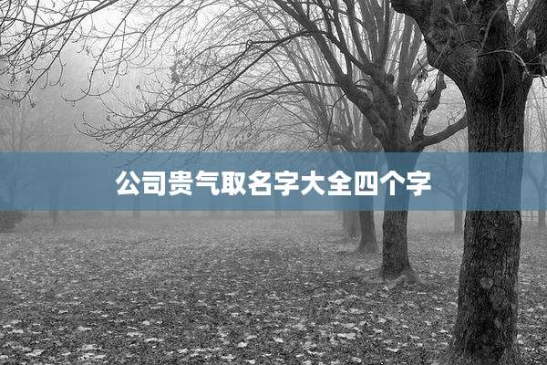 公司贵气取名字大全四个字