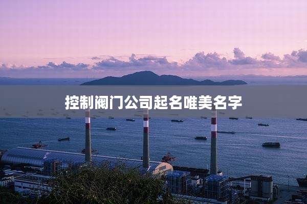 控制阀门公司起名唯美名字
