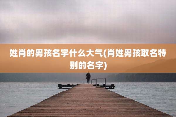 姓肖的男孩名字什么大气(肖姓男孩取名特别的名字)