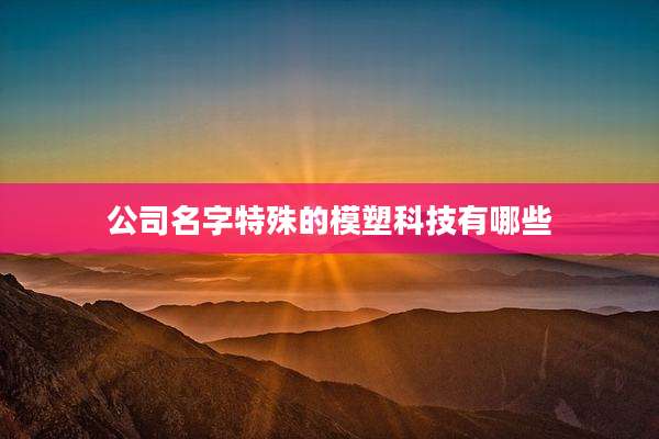 公司名字特殊的模塑科技有哪些
