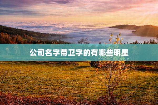 公司名字带卫字的有哪些明星