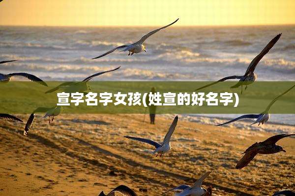 宣字名字女孩(姓宣的好名字)