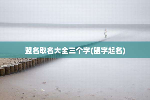 盟名取名大全三个字(盟字起名)
