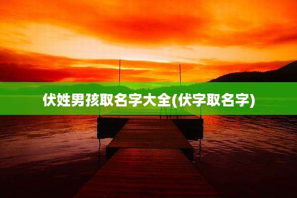 伏姓男孩取名字大全(伏字取名字)