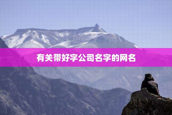 有关带好字公司名字的网名