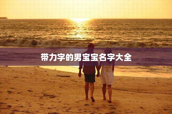 带力字的男宝宝名字大全