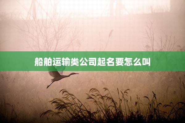船舶运输类公司起名要怎么叫