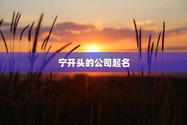 宁开头的公司起名