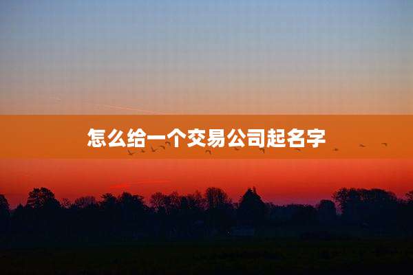 怎么给一个交易公司起名字