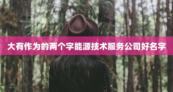 大有作为的两个字能源技术服务公司好名字