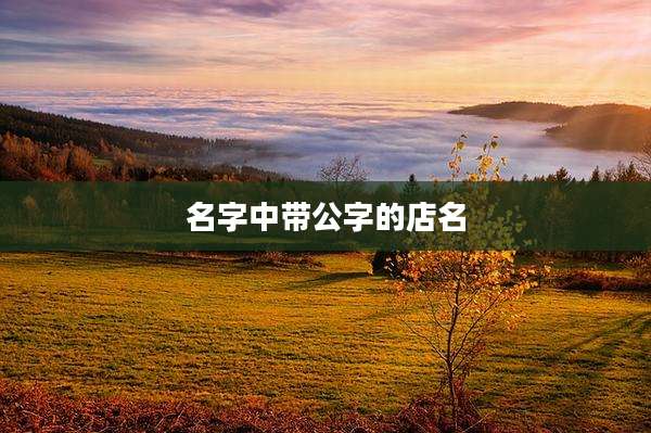 名字中带公字的店名