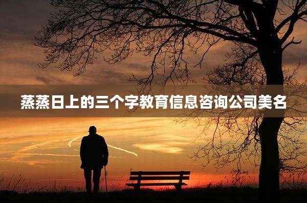 蒸蒸日上的三个字教育信息咨询公司美名