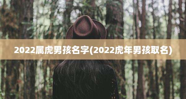 2022属虎男孩名字(2022虎年男孩取名)