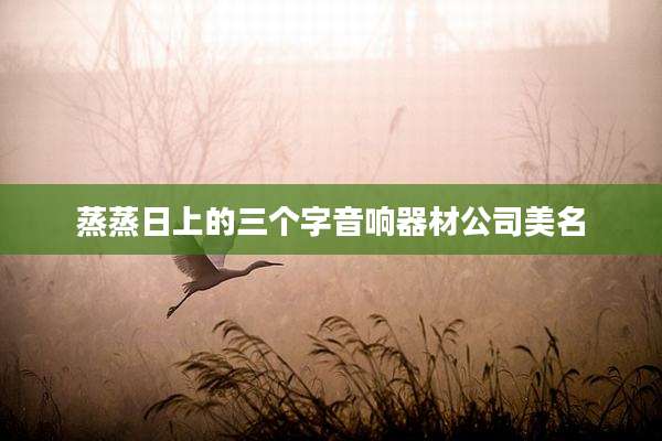 蒸蒸日上的三个字音响器材公司美名