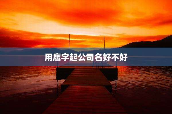 用鹰字起公司名好不好