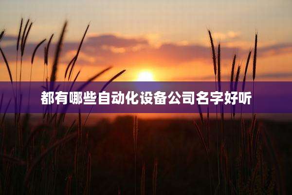 都有哪些自动化设备公司名字好听