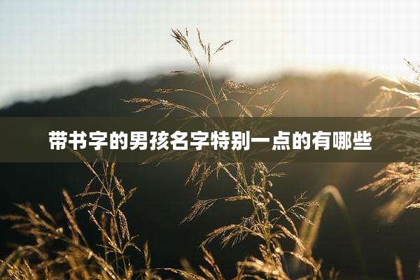 带书字的男孩名字特别一点的有哪些