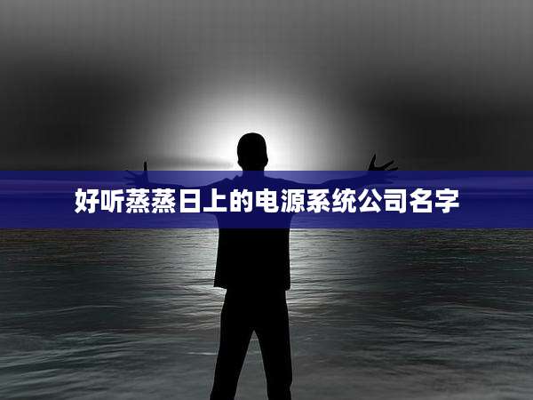 好听蒸蒸日上的电源系统公司名字