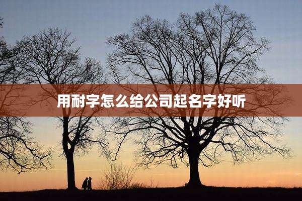 用耐字怎么给公司起名字好听