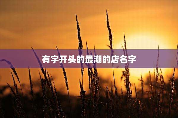 有字开头的最潮的店名字