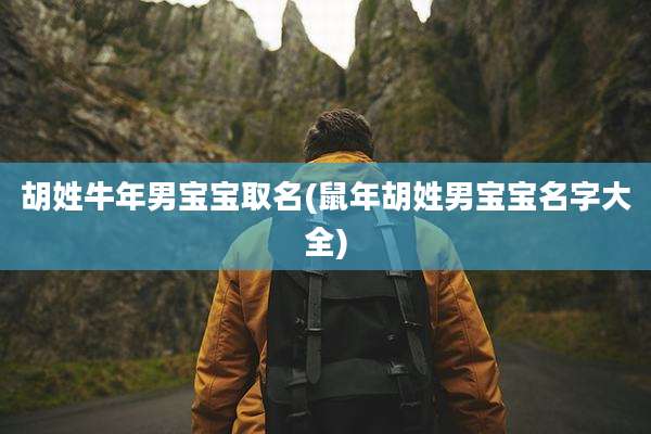 胡姓牛年男宝宝取名(鼠年胡姓男宝宝名字大全)