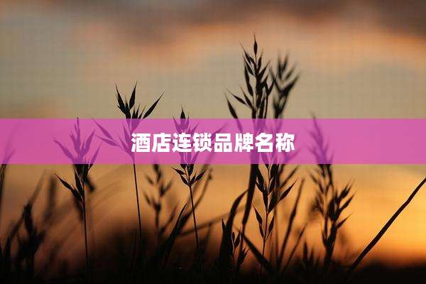 酒店连锁品牌名称