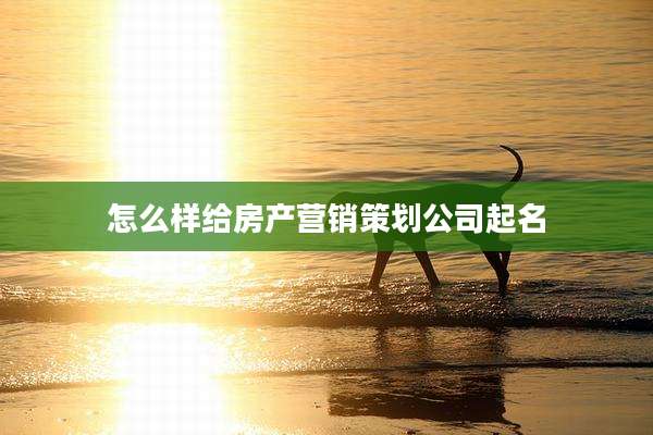 怎么样给房产营销策划公司起名