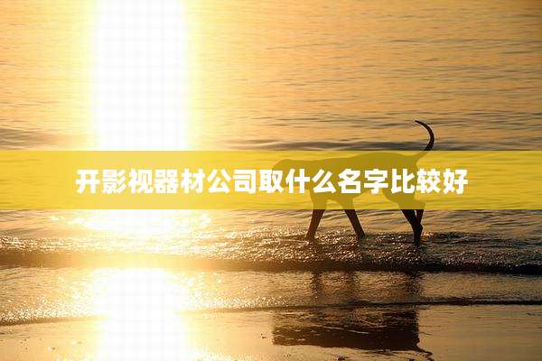 开影视器材公司取什么名字比较好