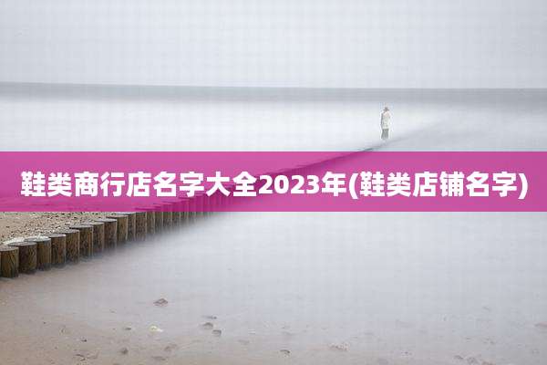 鞋类商行店名字大全2023年(鞋类店铺名字)