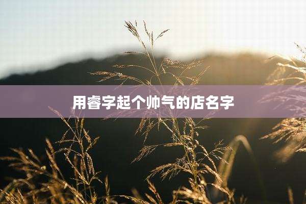 用睿字起个帅气的店名字