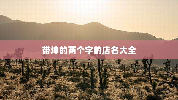 带坤的两个字的店名大全