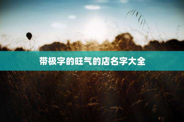 带极字的旺气的店名字大全