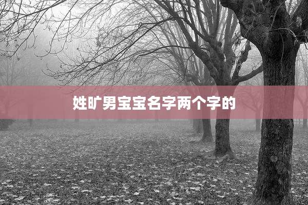 姓旷男宝宝名字两个字的