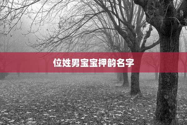 位姓男宝宝押韵名字
