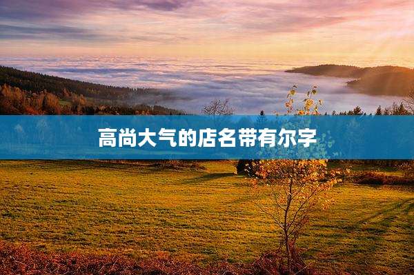 高尚大气的店名带有尔字