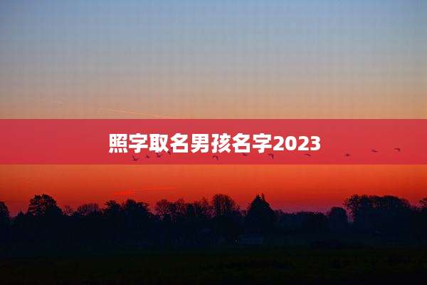 照字取名男孩名字2023