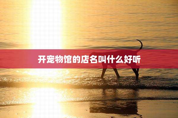 开宠物馆的店名叫什么好听