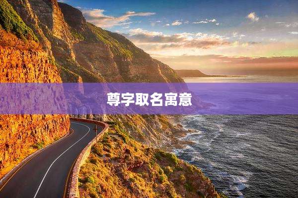 尊字取名寓意
