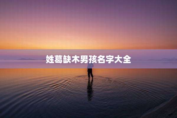 姓葛缺木男孩名字大全